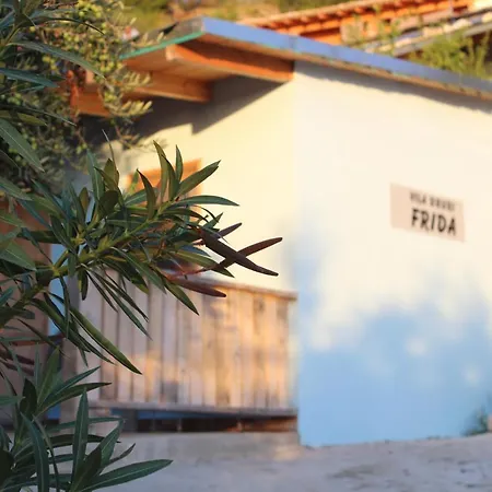 Villa Frida *